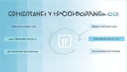 TP賬號(hào)異常怎么恢復(fù)？全面解析解決方案